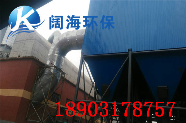 生物質(zhì)鍋爐除塵器 生物質(zhì)鍋爐除塵器